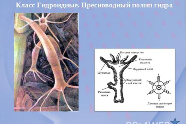 Как зайти на кракен через тор браузер