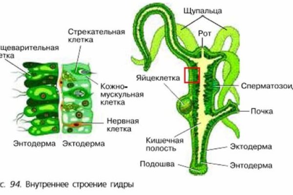 Кракен сайт krakens13 at